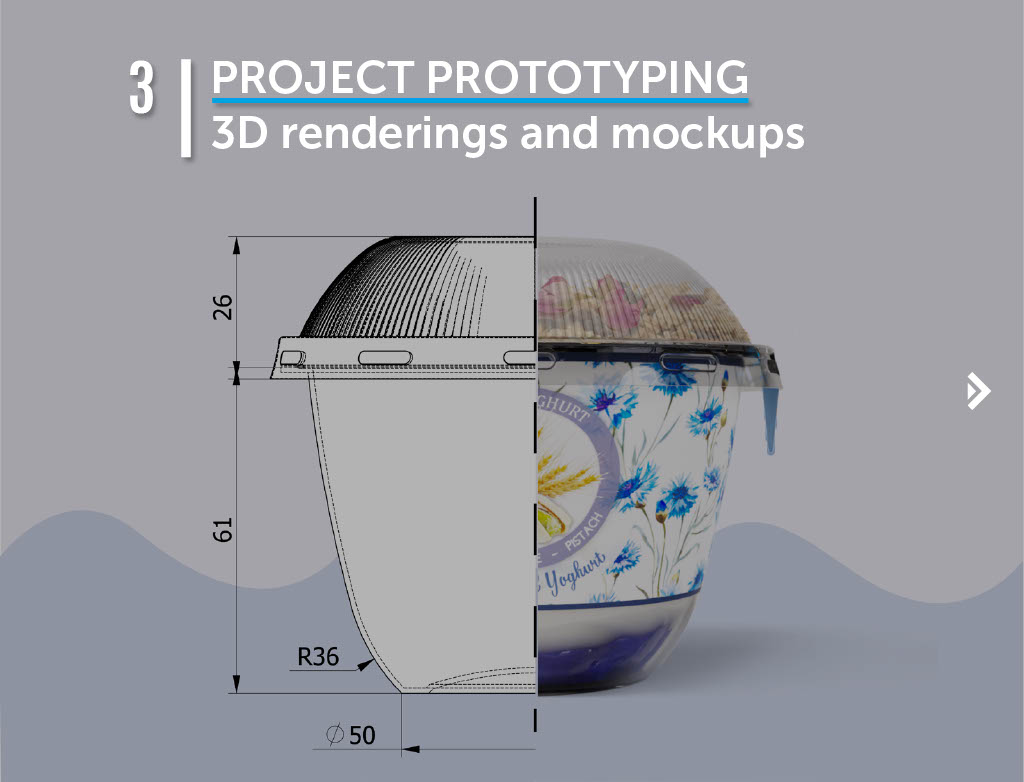 Step 3: Project Prototyping