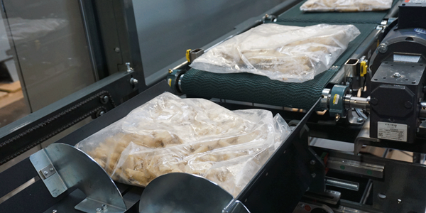 Nigrelli DL 25 Case Packer