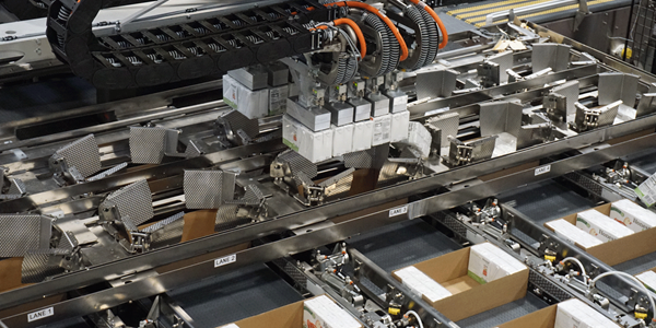 Nigrelli Flexi-Packer Robotic Case Packer