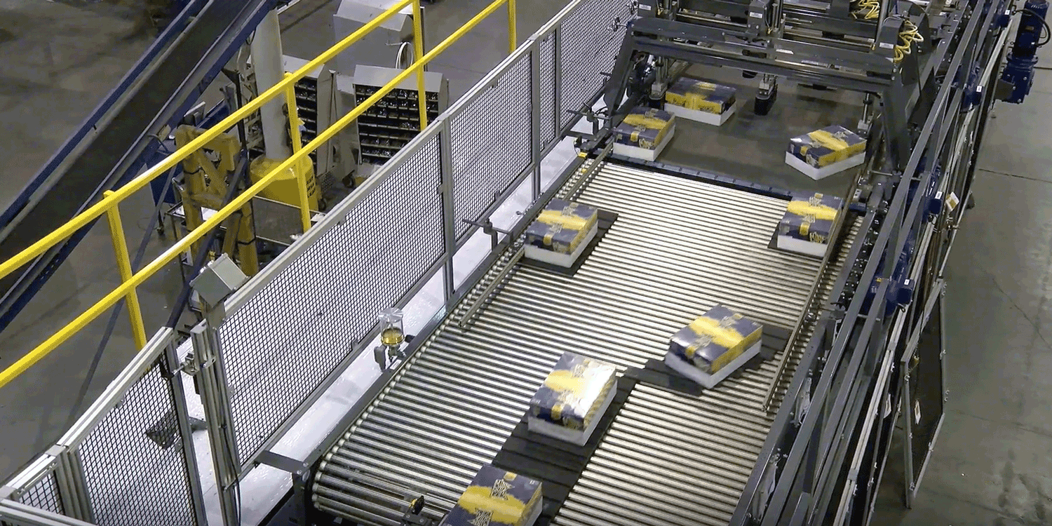 Stact Maximizer Case Palletizer