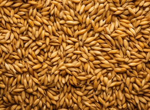 Grain & Cereal