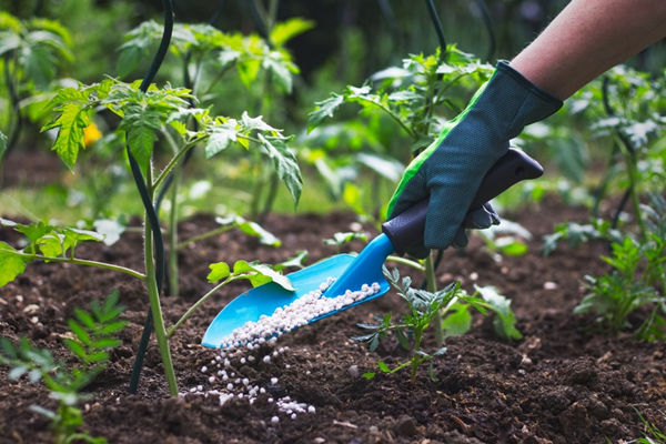 Fertilizer & Chemical