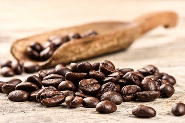Coffee & Cocoa Bean