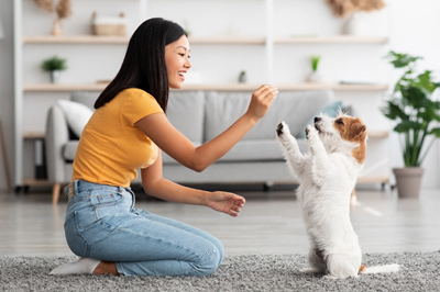 Pet Treats